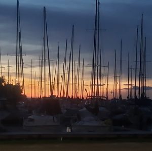 Meet your Posher, Shaun